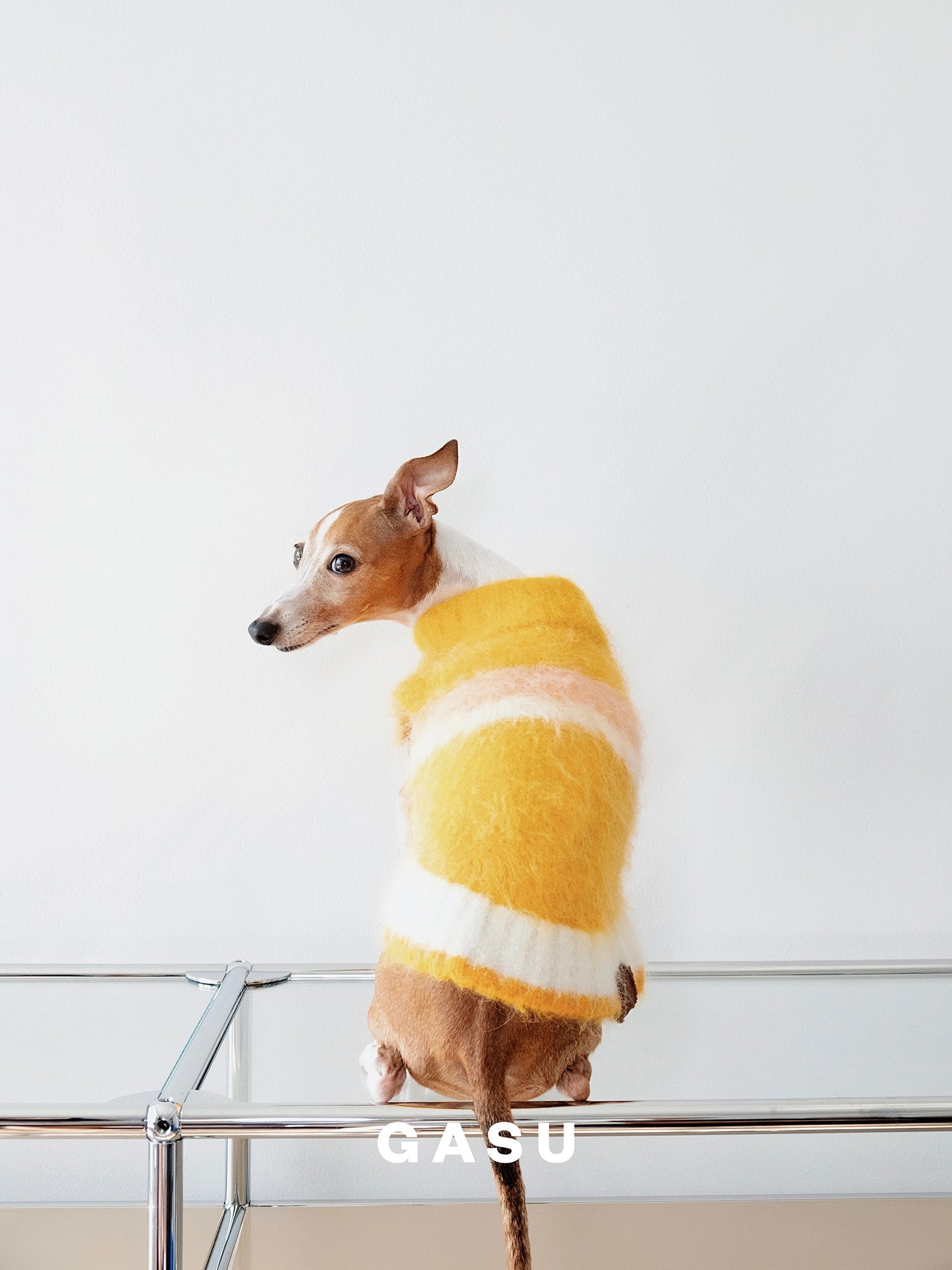 GASU Roseau / [Bud] Fine&Warm Alpaca Knit Vest