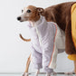 GASU Variété / [3 Colors] 3M Thinsulate™ Warm Fleece Padded 2-Leg Jacket