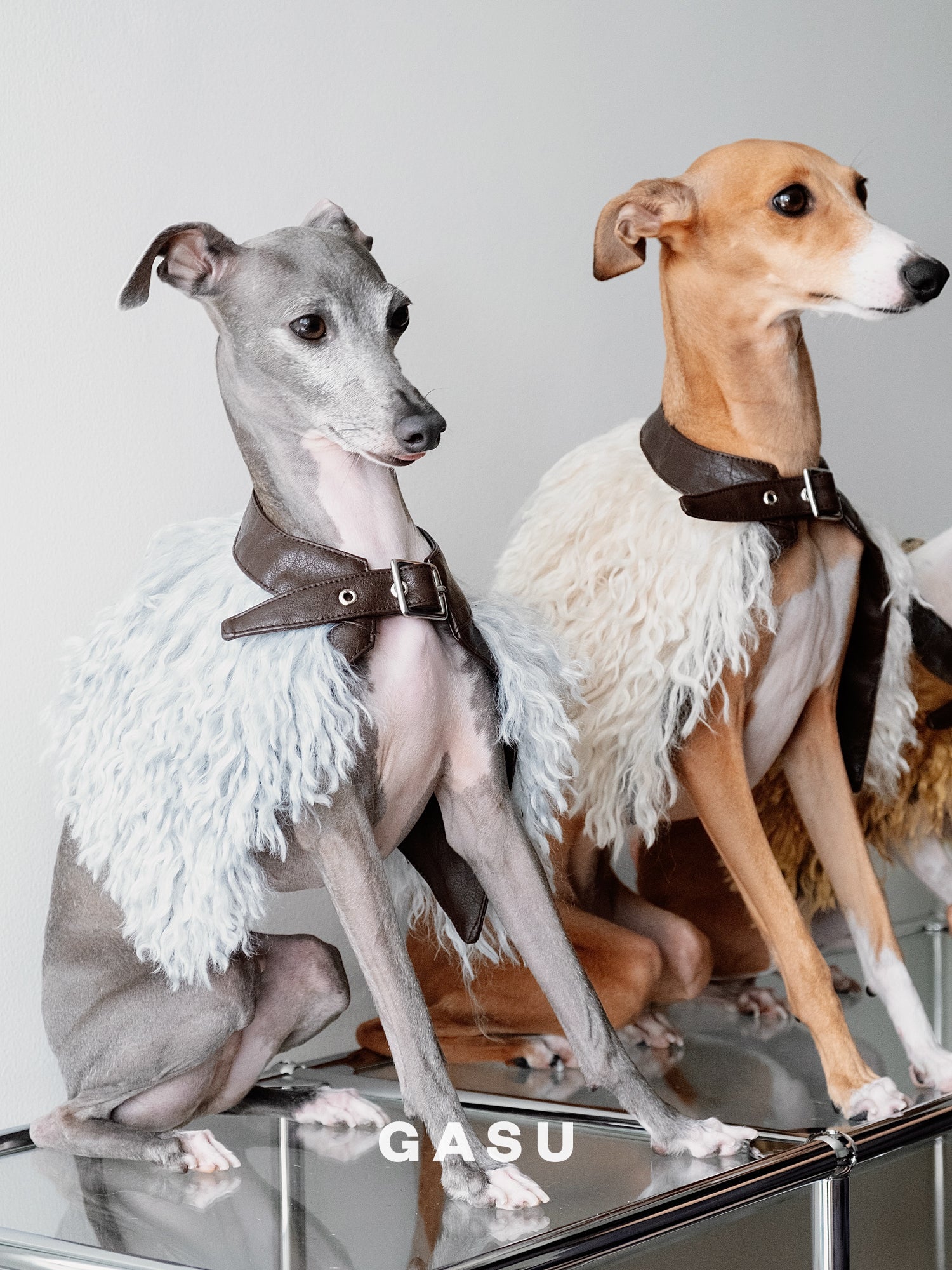 GASU Couronne / [3 Colors] Handcrafted Faux Fur Leather Cloak