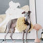 GASU Couronne / [3 Colors] Handcrafted Faux Fur Leather Cloak