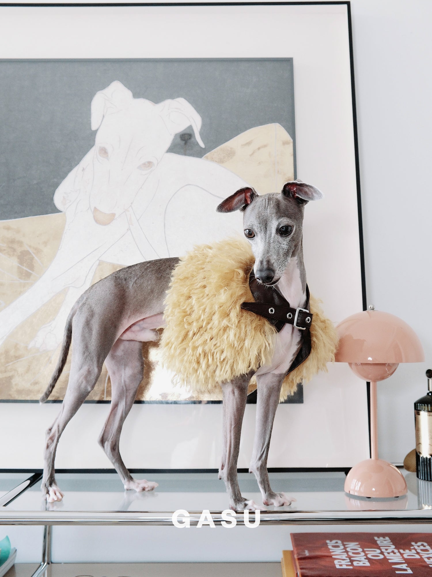 GASU Couronne / [3 Colors] Handcrafted Faux Fur Leather Cloak