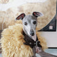 GASU Couronne / [3 Colors] Handcrafted Faux Fur Leather Cloak