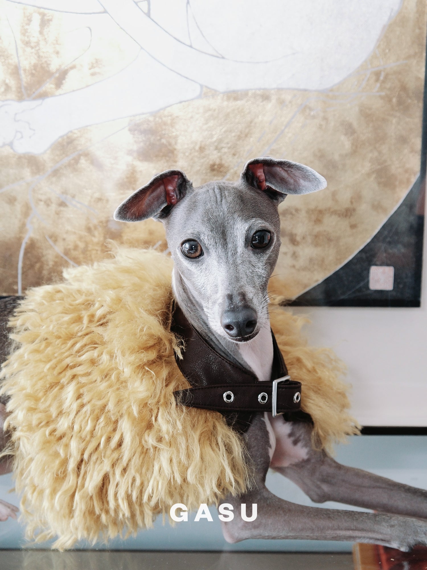 GASU Couronne / [3 Colors] Handcrafted Faux Fur Leather Cloak