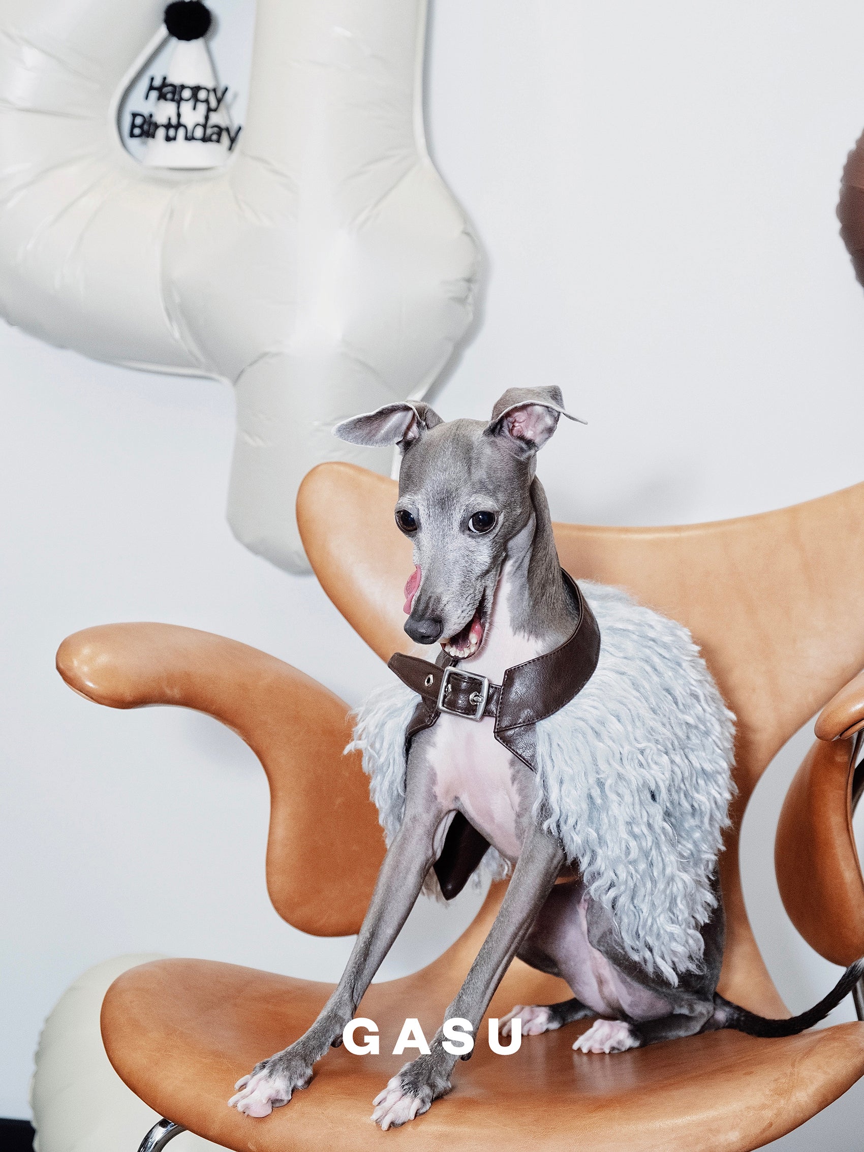 GASU Couronne / [3 Colors] Handcrafted Faux Fur Leather Cloak