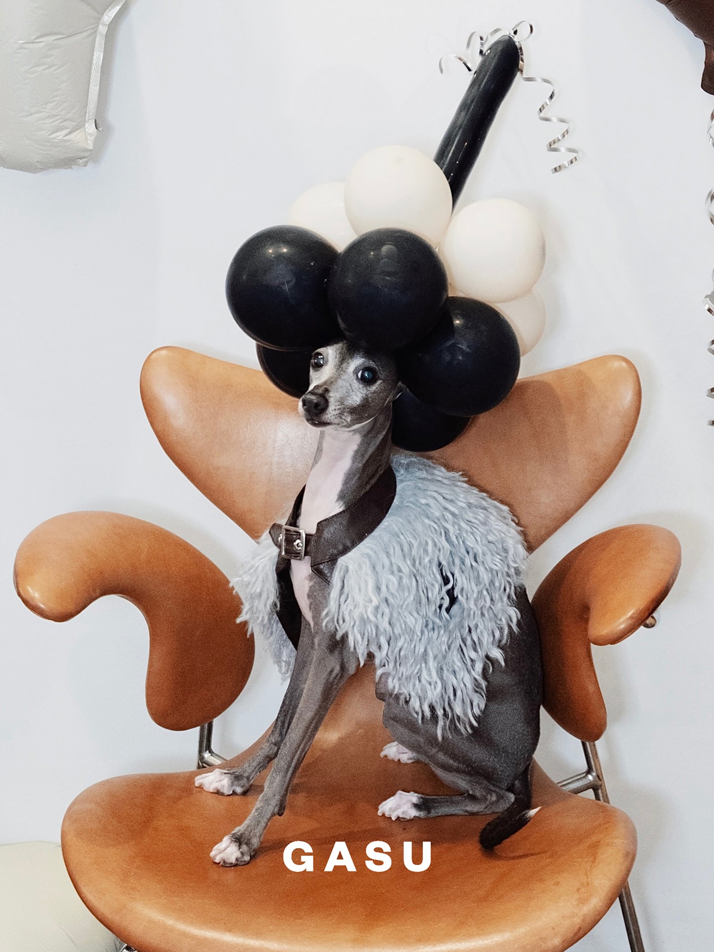 GASU Couronne / [3 Colors] Handcrafted Faux Fur Leather Cloak