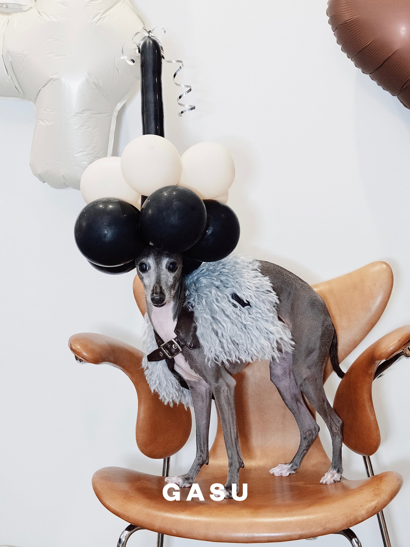 GASU Couronne / [3 Colors] Handcrafted Faux Fur Leather Cloak