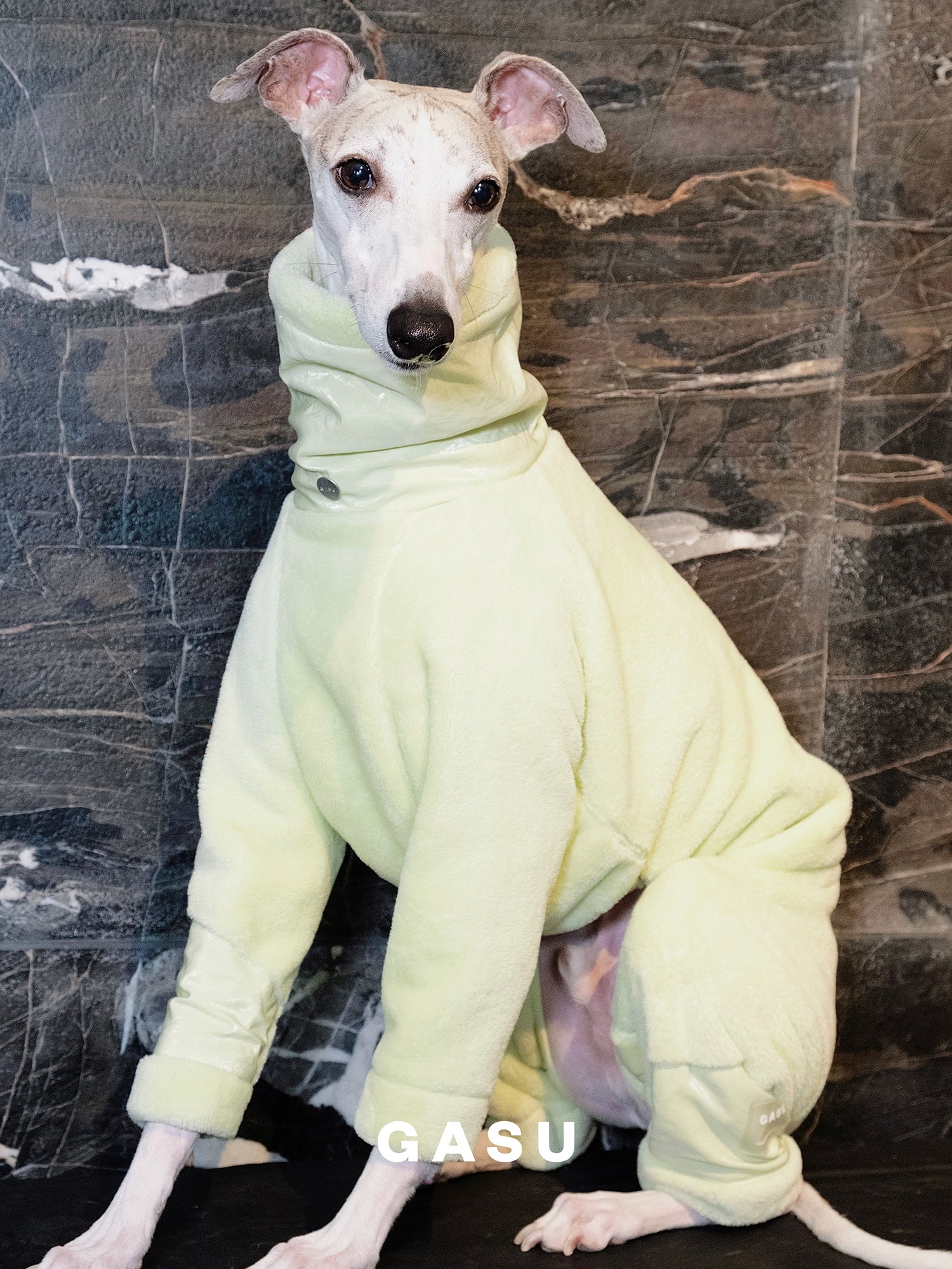 GASU Soleil / [3 Colors] Whole Day Antistatic Soft Thick Fleece 4-Leg Jumpsuit