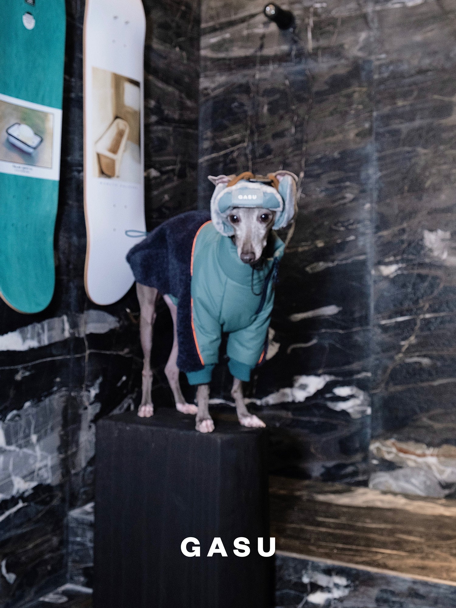 GASU Variété / [3 Colors] 3M Thinsulate™ Warm Fleece Padded 2-Leg Jacket