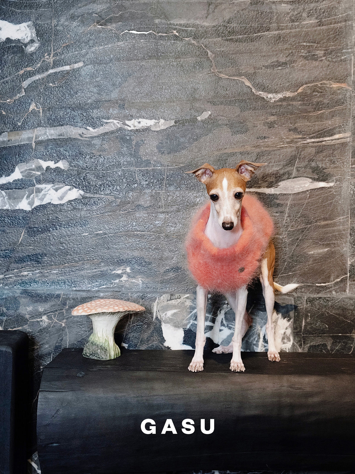 GASU Roseau / [Sunburn] Fine&Warm Alpaca Knit Vest