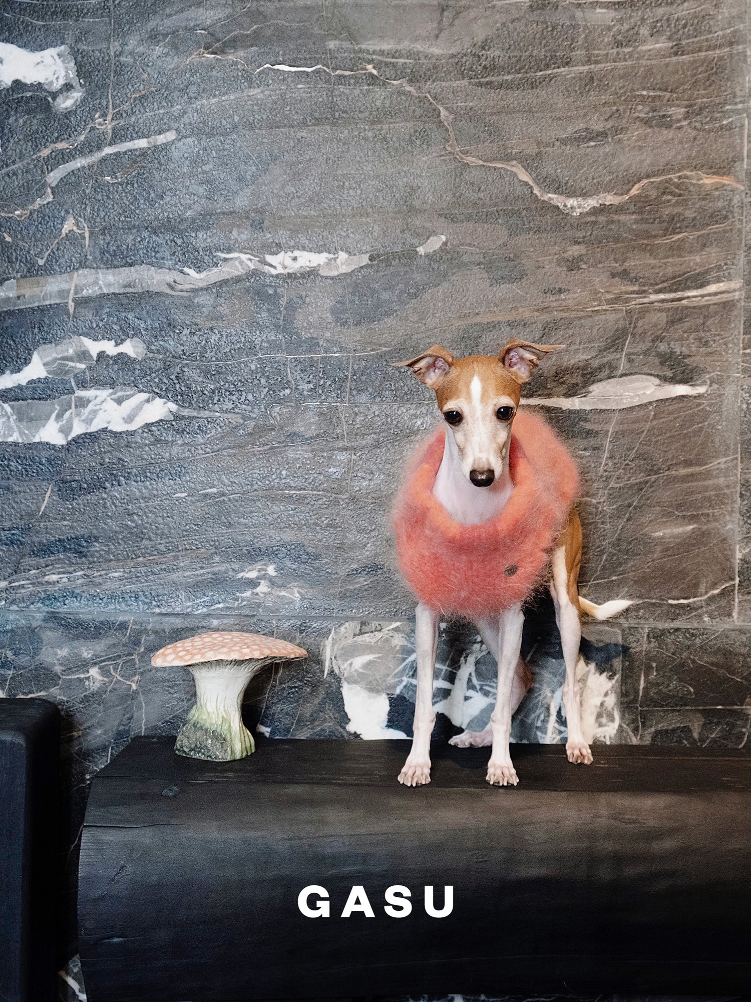 GASU Roseau / [Sunburn] Fine&Warm Alpaca Knit Vest