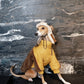 GASU Variété / [3 Colors] 3M Thinsulate™ Warm Fleece Padded 2-Leg Jacket