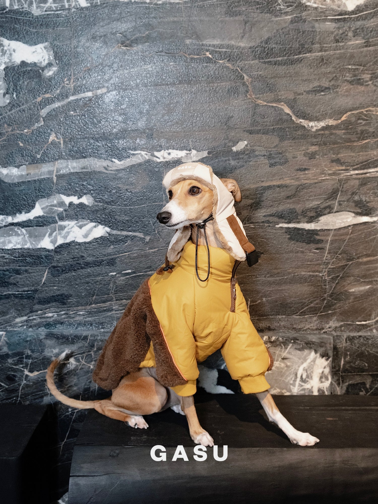GASU Variété / [3 Colors] 3M Thinsulate™ Warm Fleece Padded 2-Leg Jacket