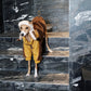 GASU Variété / [3 Colors] 3M Thinsulate™ Warm Fleece Padded 2-Leg Jacket