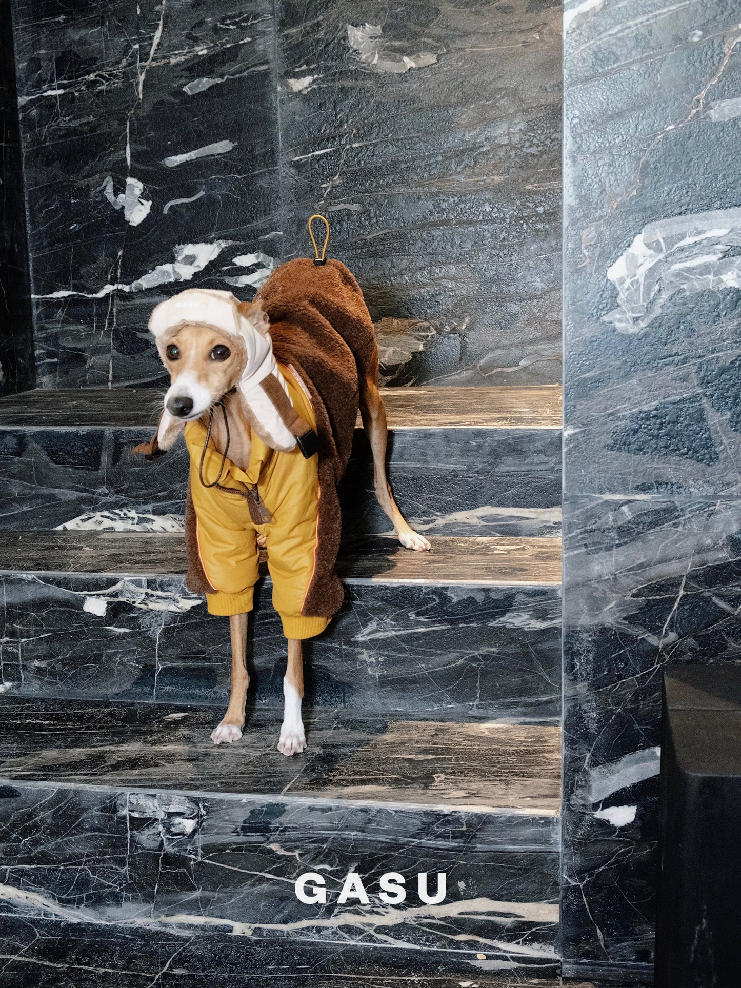 GASU Variété / [3 Colors] 3M Thinsulate™ Warm Fleece Padded 2-Leg Jacket