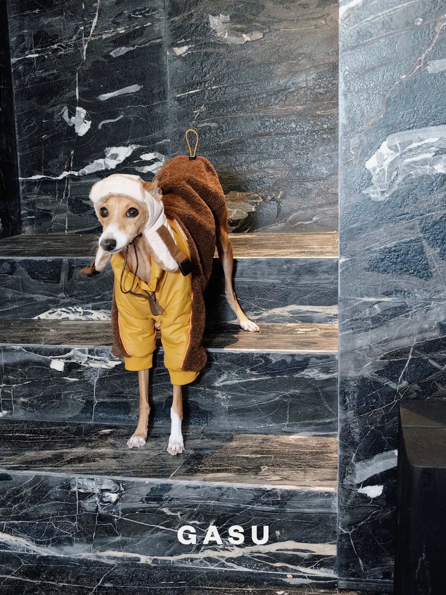 GASU Variété / [3 Colors] 3M Thinsulate™ Warm Fleece Padded 2-Leg Jacket