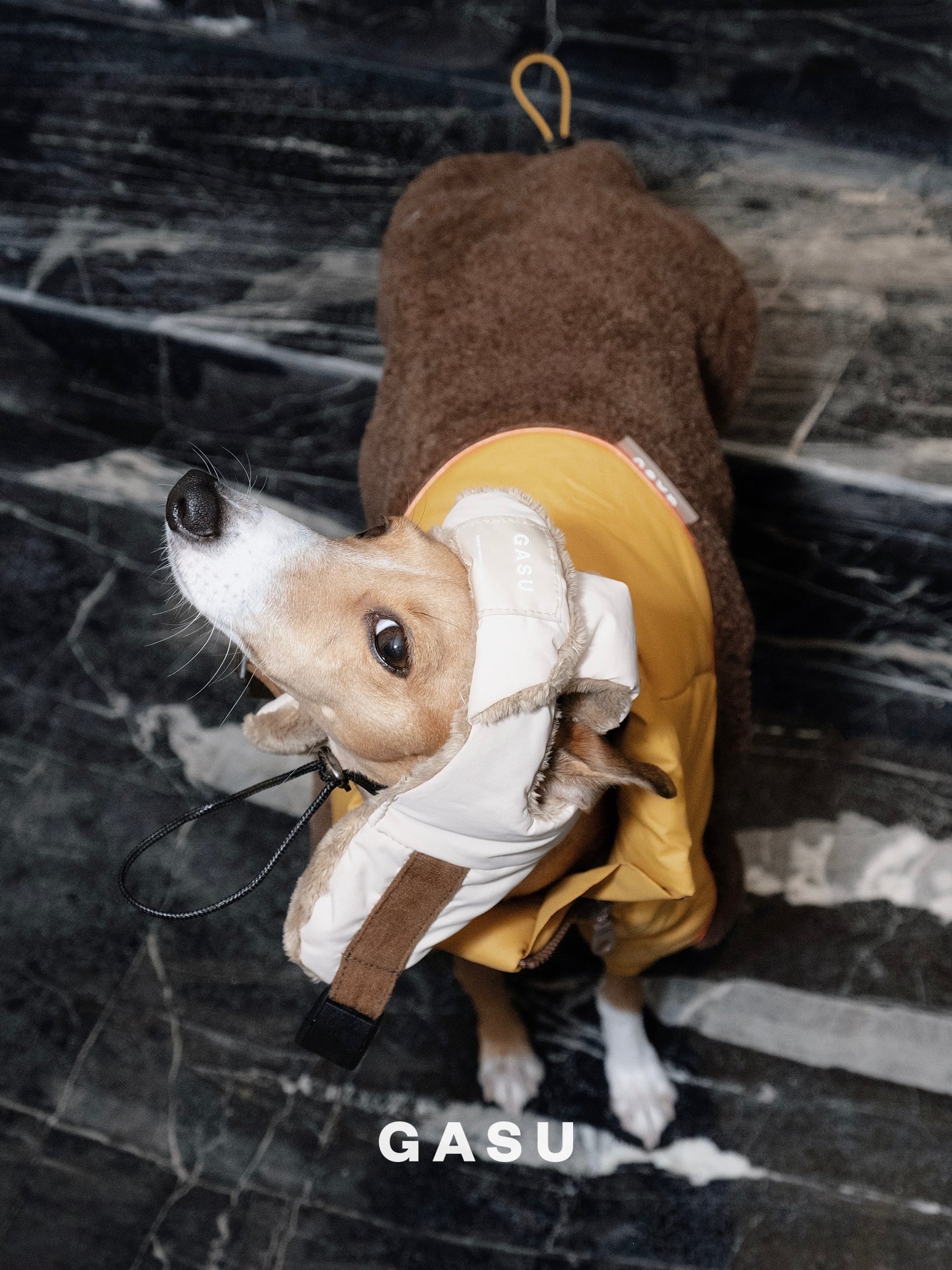 GASU Variété / [3 Colors] 3M Thinsulate™ Warm Fleece Padded 2-Leg Jacket