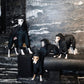 GASU Assembler / [Emerald Obsidian] 3M Thinsulate™ Antistatic Thermal Quilted 4-leg Jumpsuit