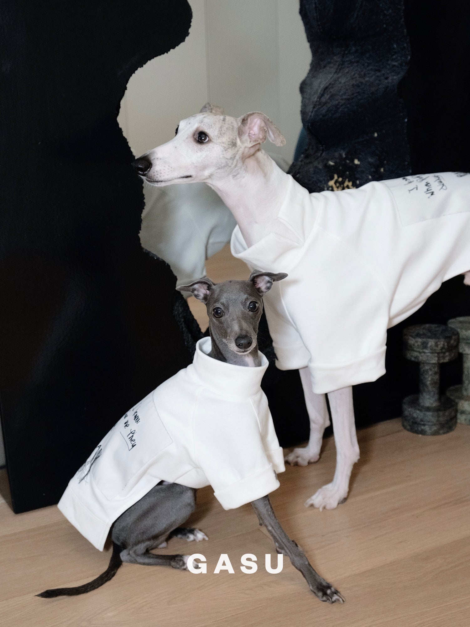 GASU Moi / [White] Slogan White Soft T-shirt
