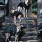 GASU Promener / [Emerald Obsidian] 3M Thinsulate™ Antistatic Thermal Quilted Vest