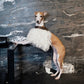 GASU Couronne / [3 Colors] Handcrafted Faux Fur Leather Cloak