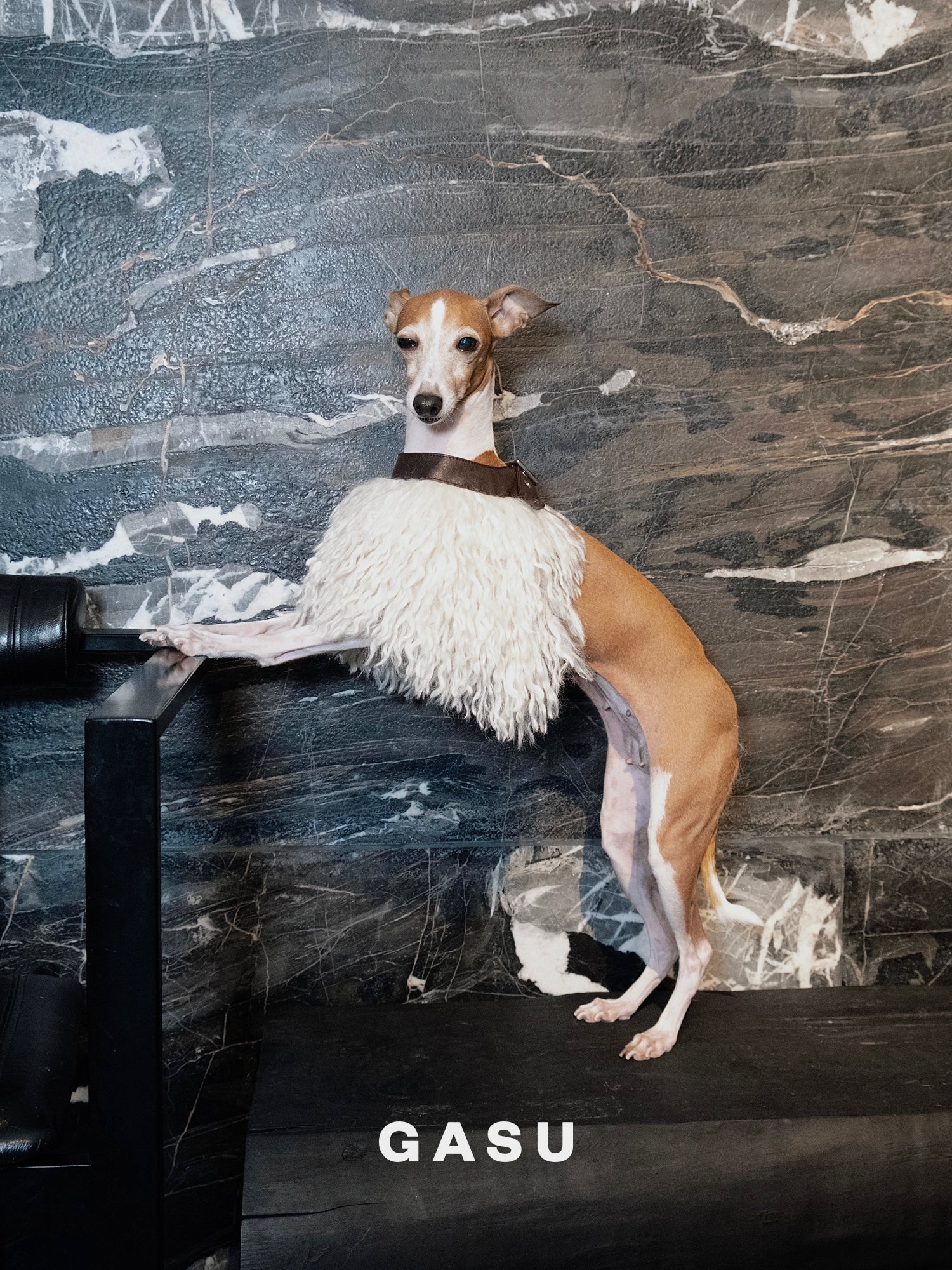 GASU Couronne / [3 Colors] Handcrafted Faux Fur Leather Cloak