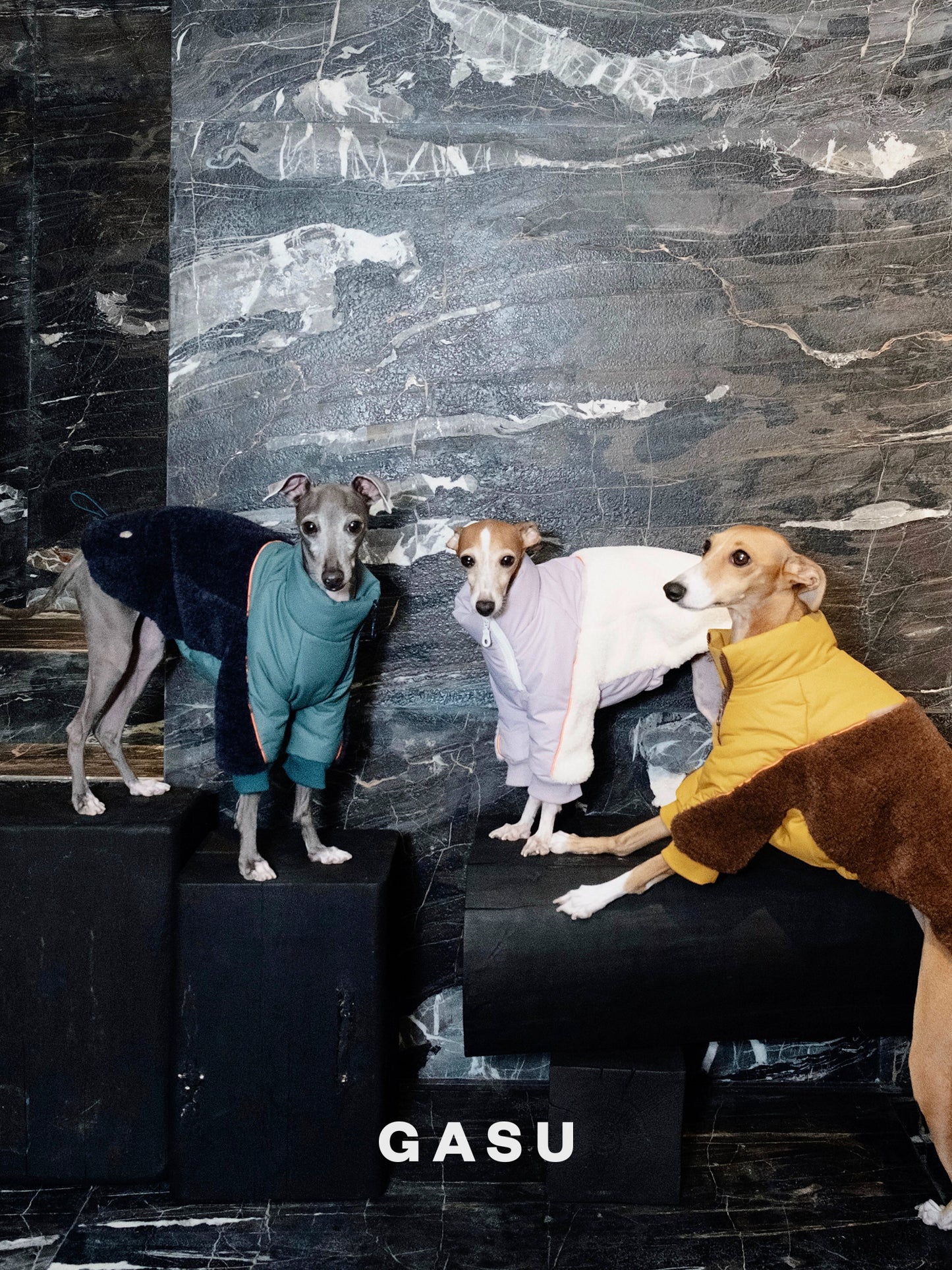 GASU Variété / [3 Colors] 3M Thinsulate™ Warm Fleece Padded 2-Leg Jacket