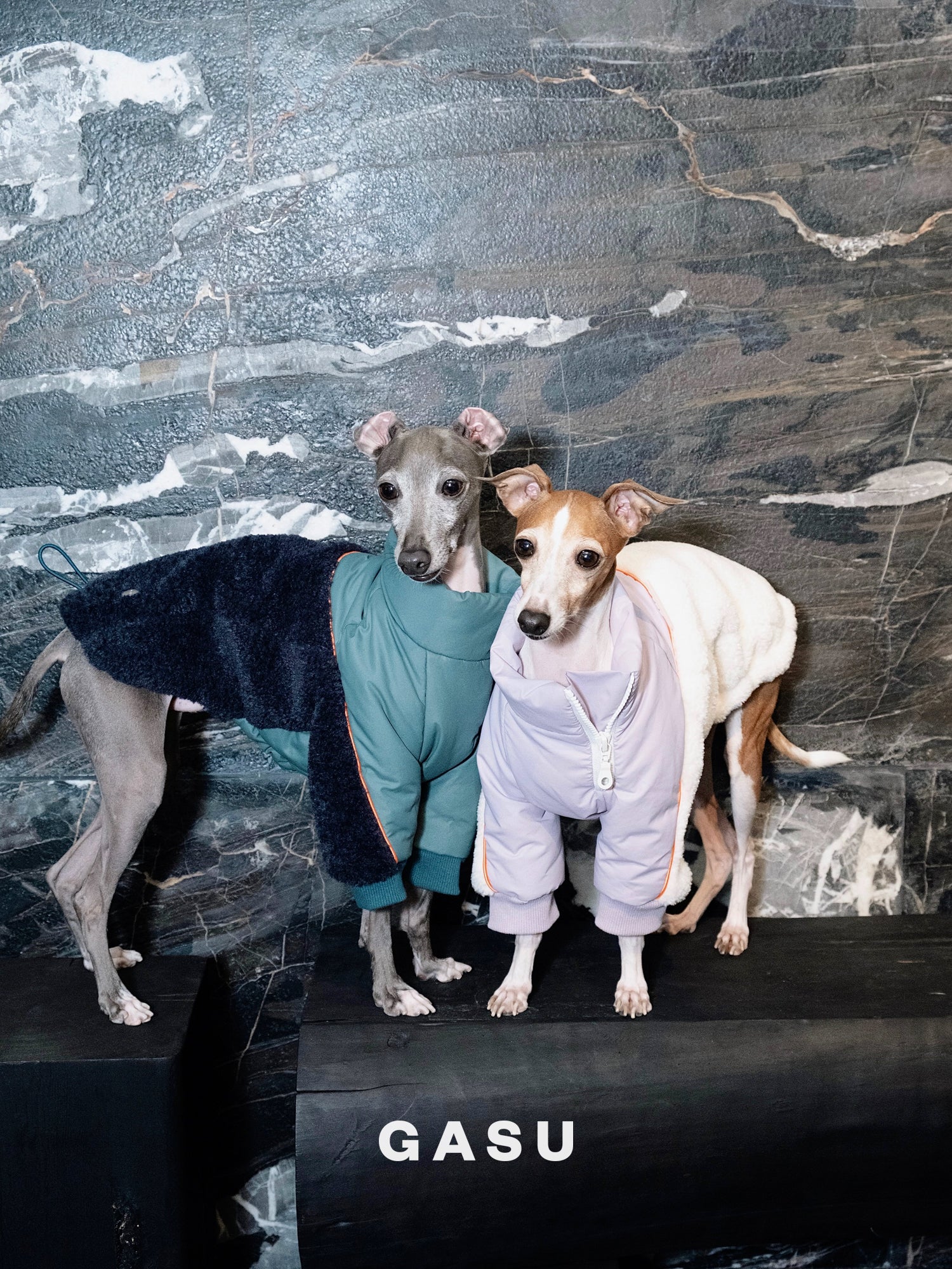 GASU Variété / [3 Colors] 3M Thinsulate™ Warm Fleece Padded 2-Leg Jacket