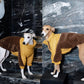 GASU Variété / [3 Colors] 3M Thinsulate™ Warm Fleece Padded 2-Leg Jacket