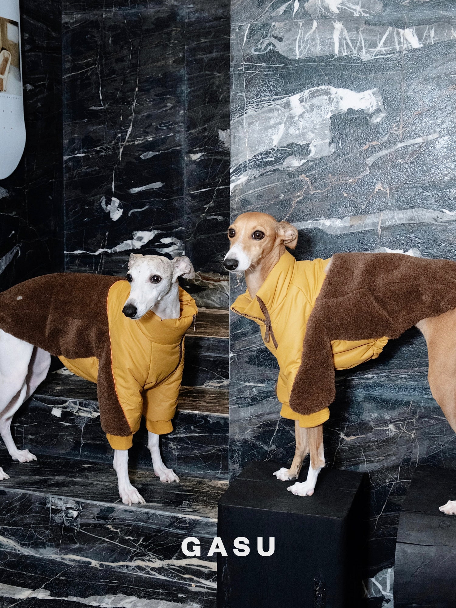 GASU Variété / [3 Colors] 3M Thinsulate™ Warm Fleece Padded 2-Leg Jacket