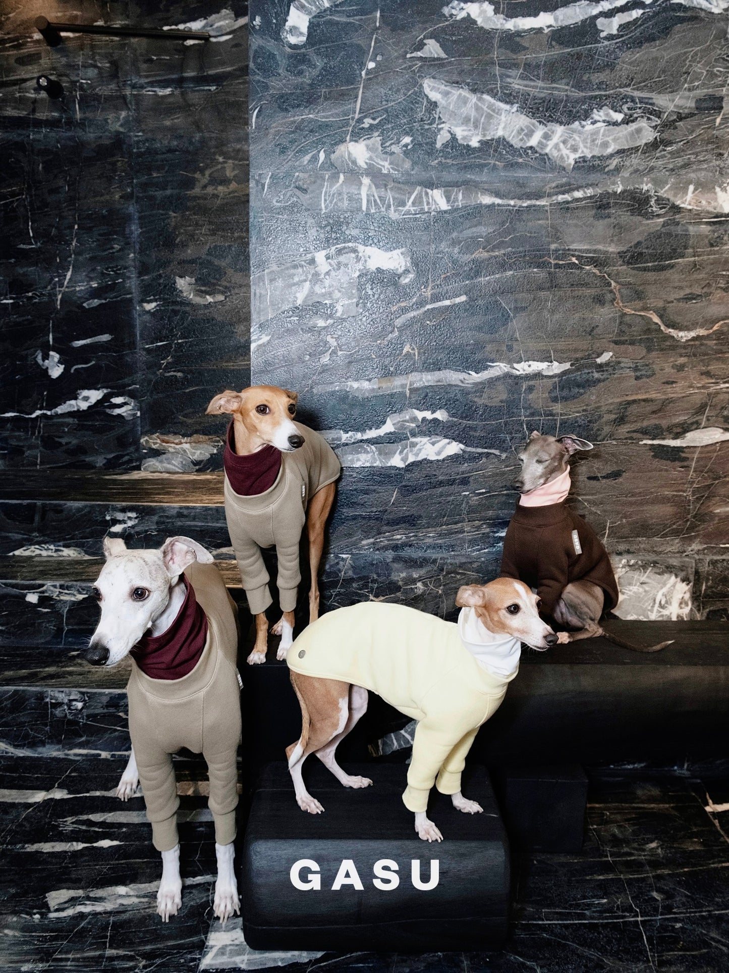 GASU Svelte / [3 Colors] Fleece Thick 2-Leg Shirt