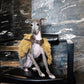 GASU Couronne / [3 Colors] Handcrafted Faux Fur Leather Cloak