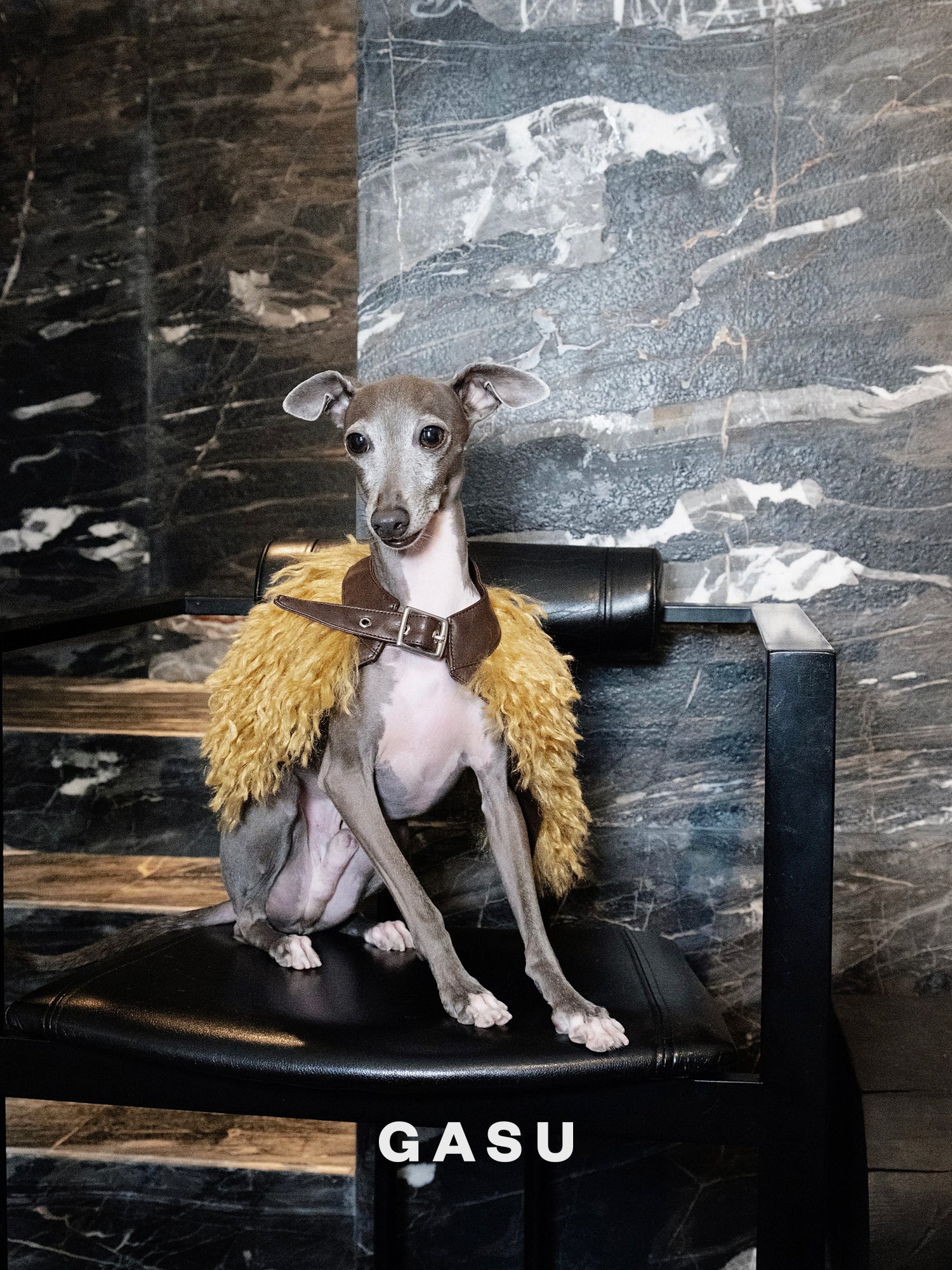 GASU Couronne / [3 Colors] Handcrafted Faux Fur Leather Cloak