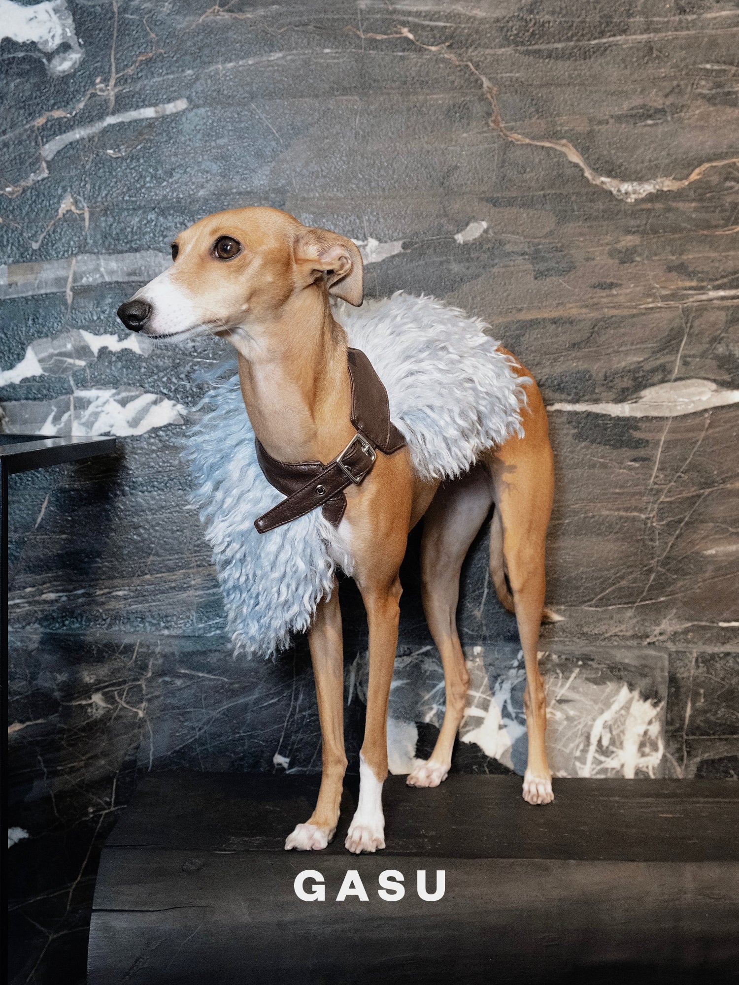 GASU Couronne / [3 Colors] Handcrafted Faux Fur Leather Cloak
