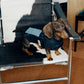 GASU Variété / [3 Colors] Sporty Vest (Compatible With Harness)
