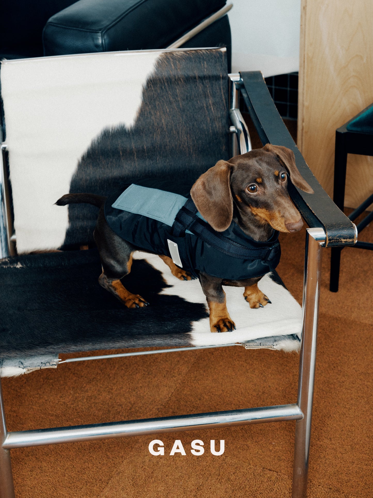 GASU Variété / [3 Colors] Sporty Vest (Compatible With Harness)
