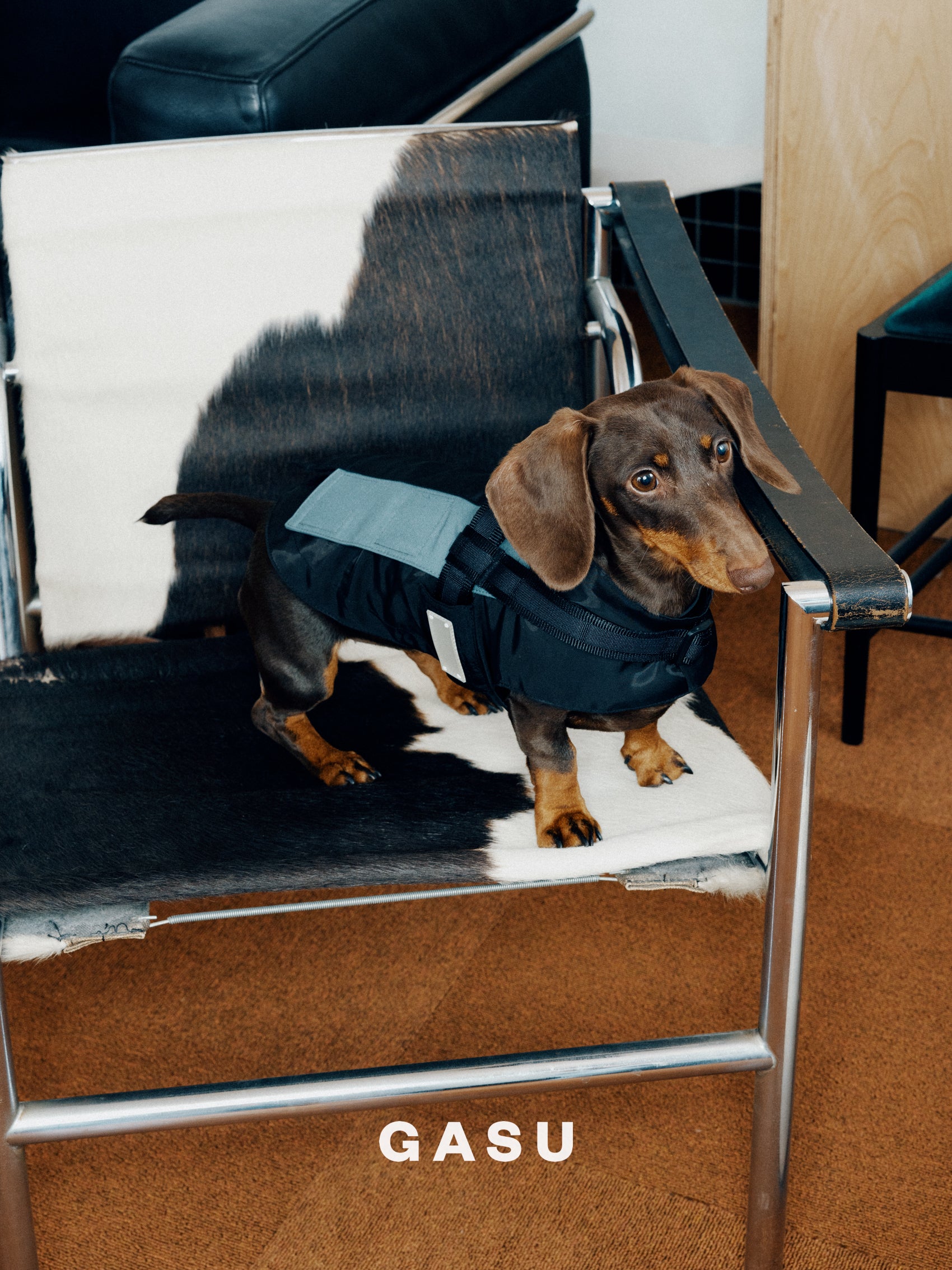 GASU Variété / [3 Colors] Sporty Vest (Compatible With Harness)