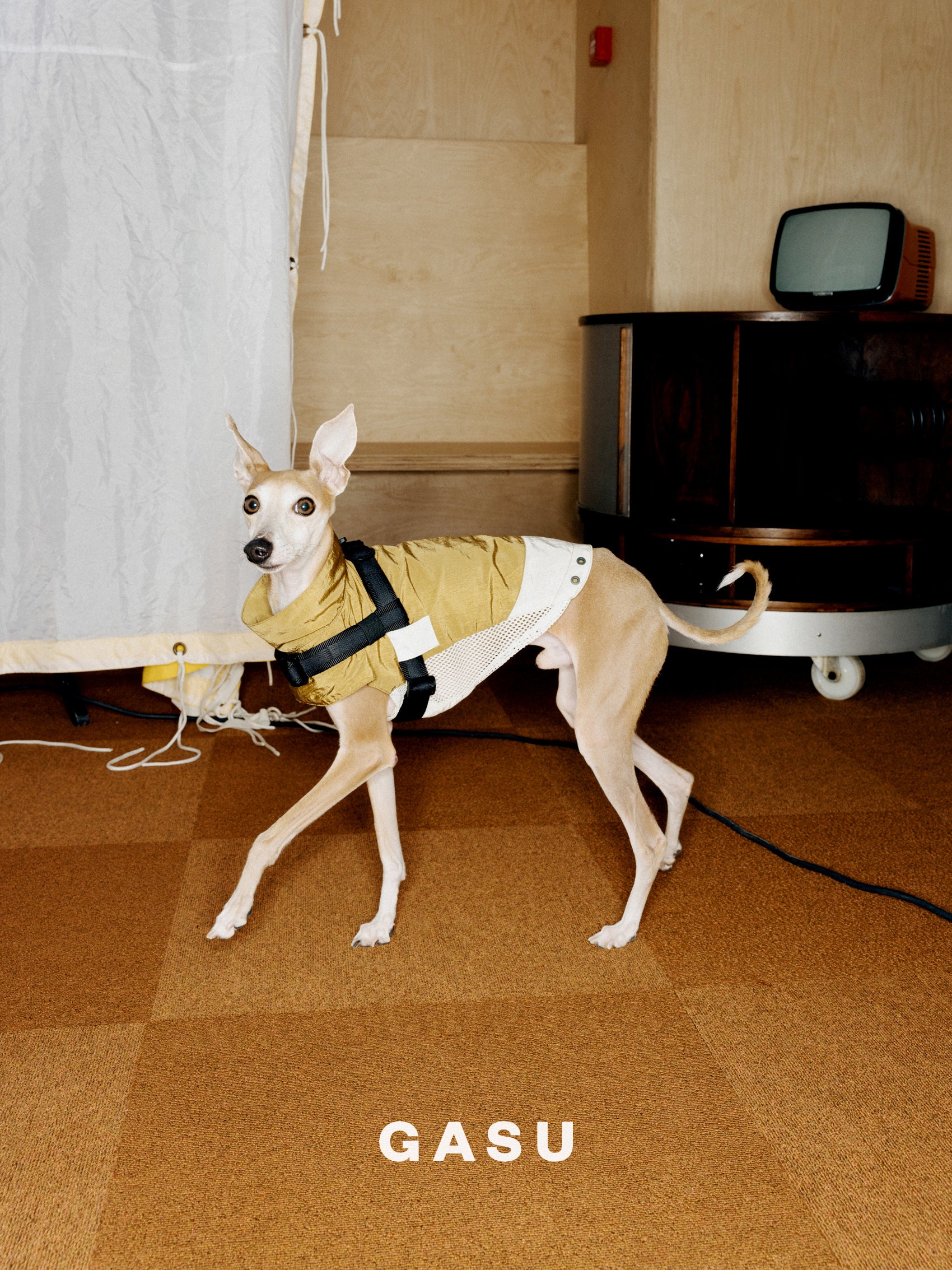 GASU Variété / [3 Colors] Sporty Vest (Compatible With Harness)