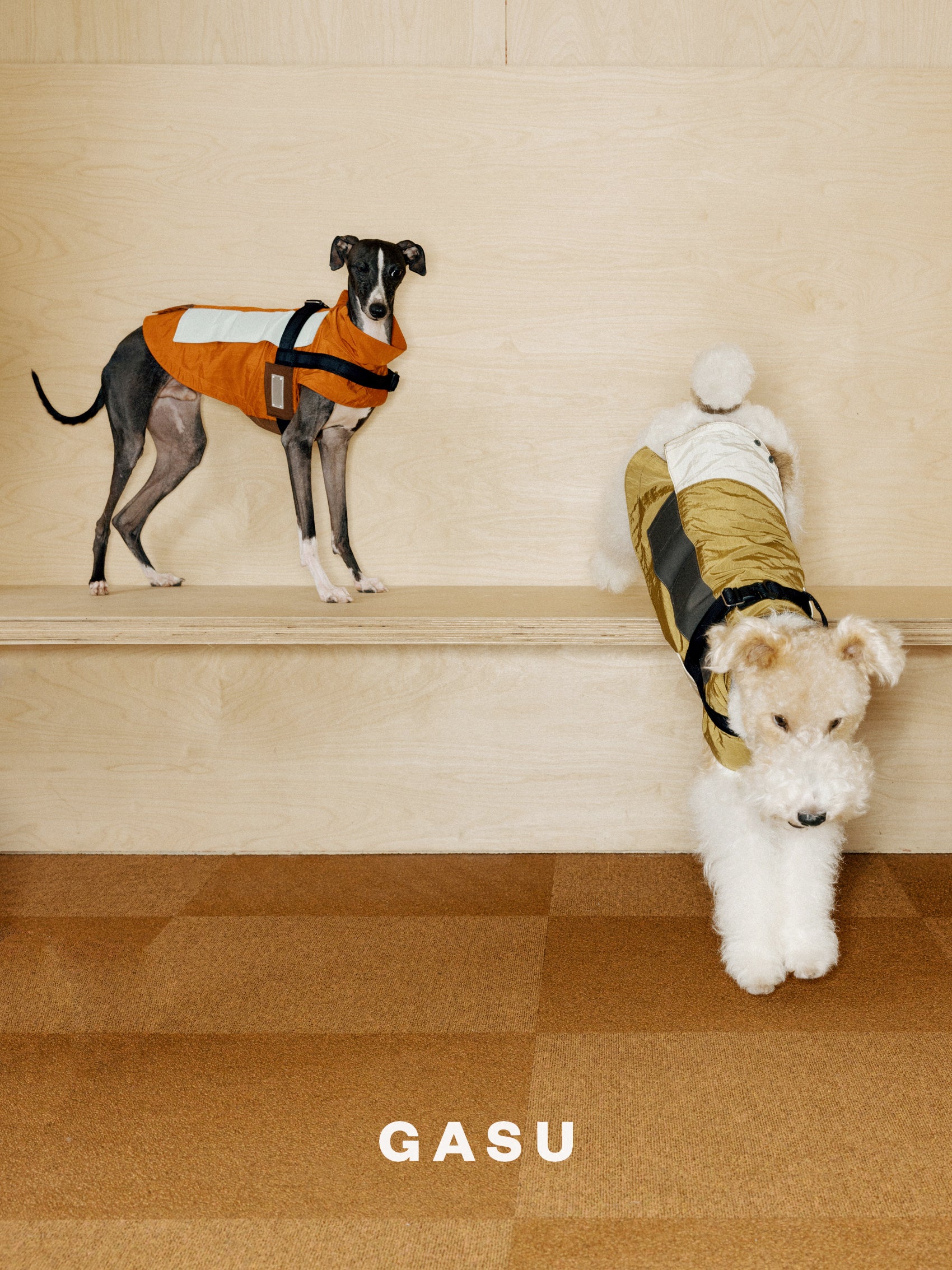 GASU Variété / [3 Colors] Sporty Vest (Compatible With Harness)