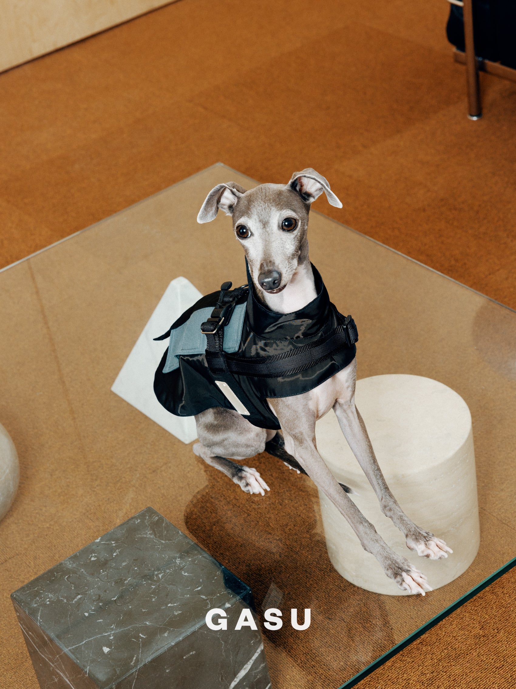 GASU Variété / [3 Colors] Sporty Vest (Compatible With Harness)