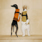 GASU Variété / [3 Colors] Sporty Vest (Compatible With Harness)