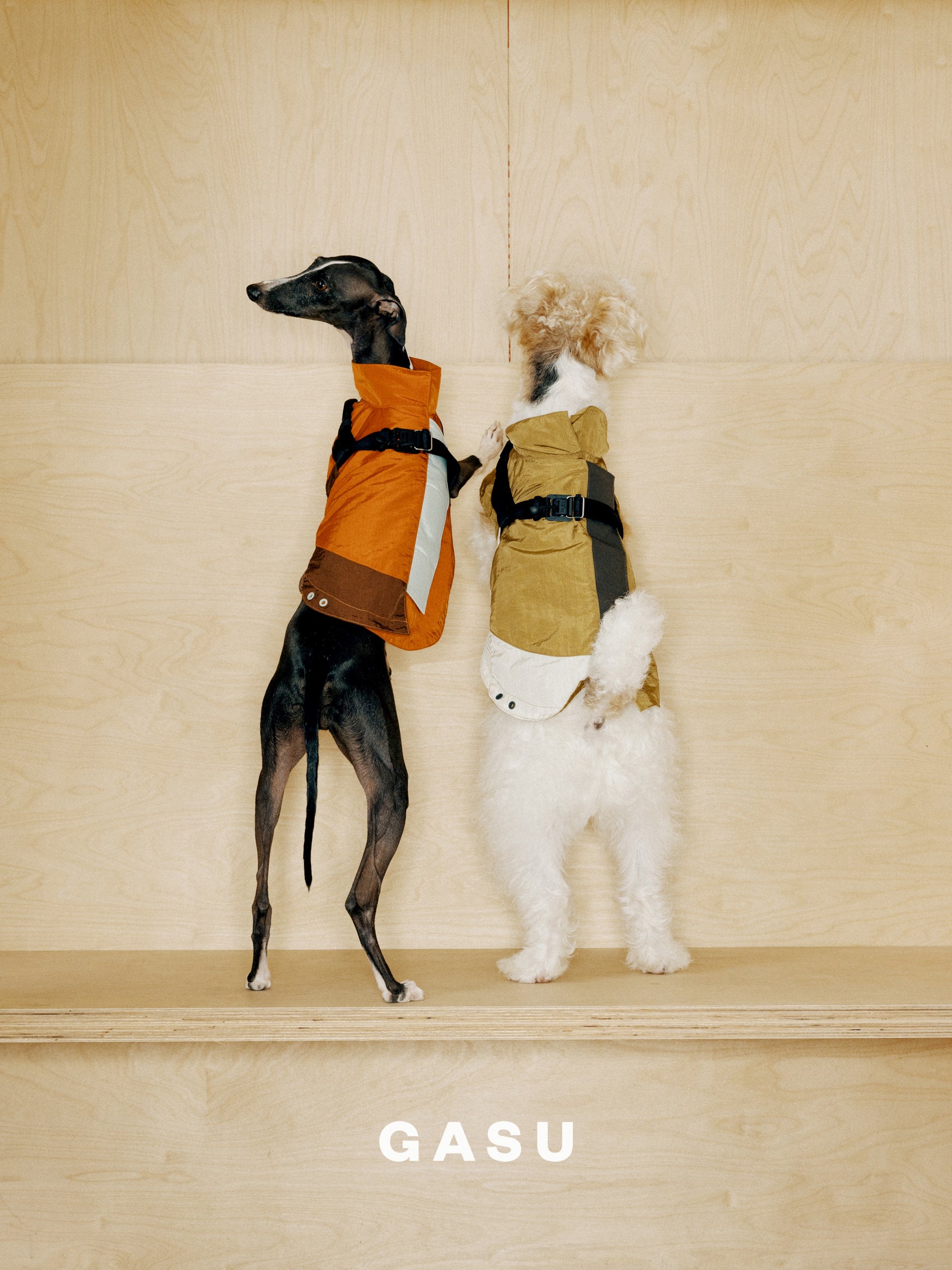 GASU Variété / [3 Colors] Sporty Vest (Compatible With Harness)