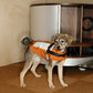 GASU Variété / [3 Colors] Sporty Vest (Compatible With Harness)