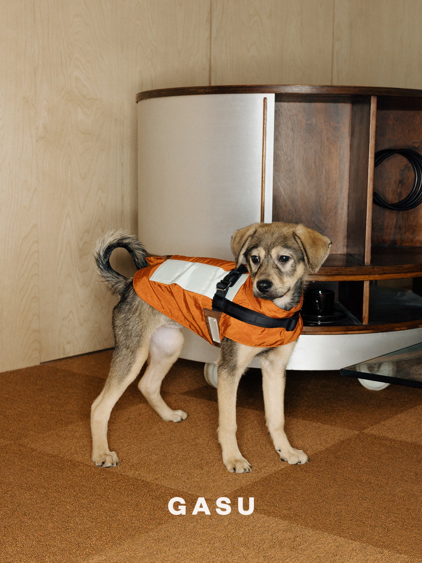 GASU Variété / [3 Colors] Sporty Vest (Compatible With Harness)