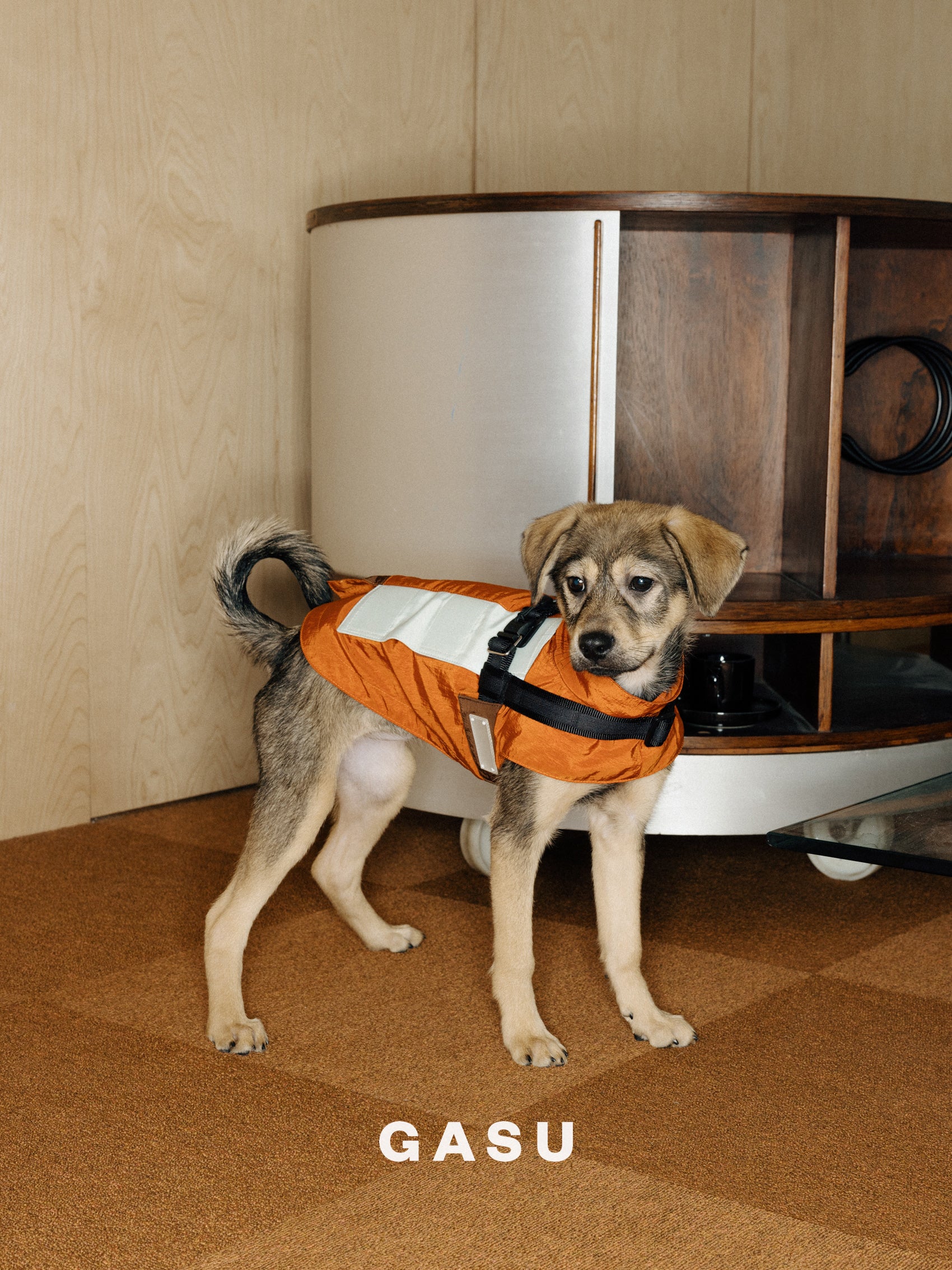 GASU Variété / [3 Colors] Sporty Vest (Compatible With Harness)