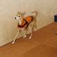 GASU Variété / [3 Colors] Sporty Vest (Compatible With Harness)