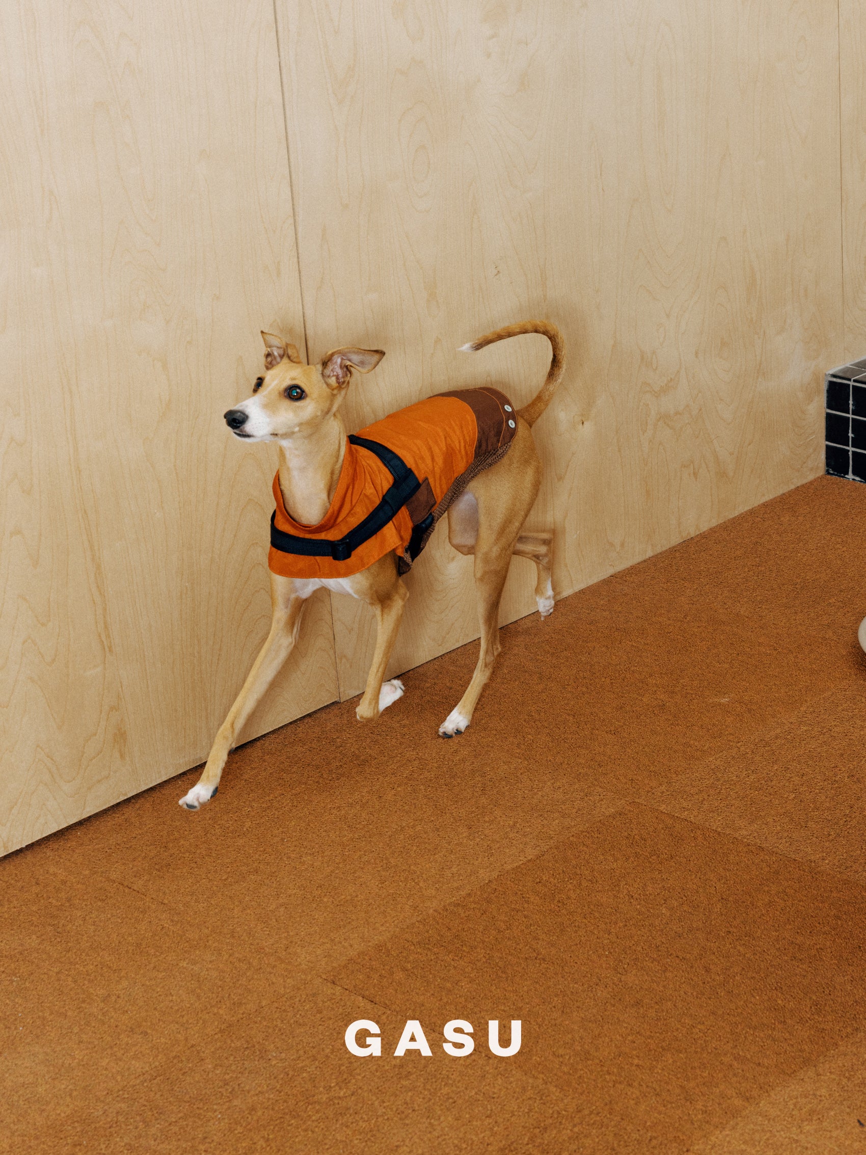 GASU Variété / [3 Colors] Sporty Vest (Compatible With Harness)