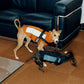 GASU Variété / [3 Colors] Sporty Vest (Compatible With Harness)