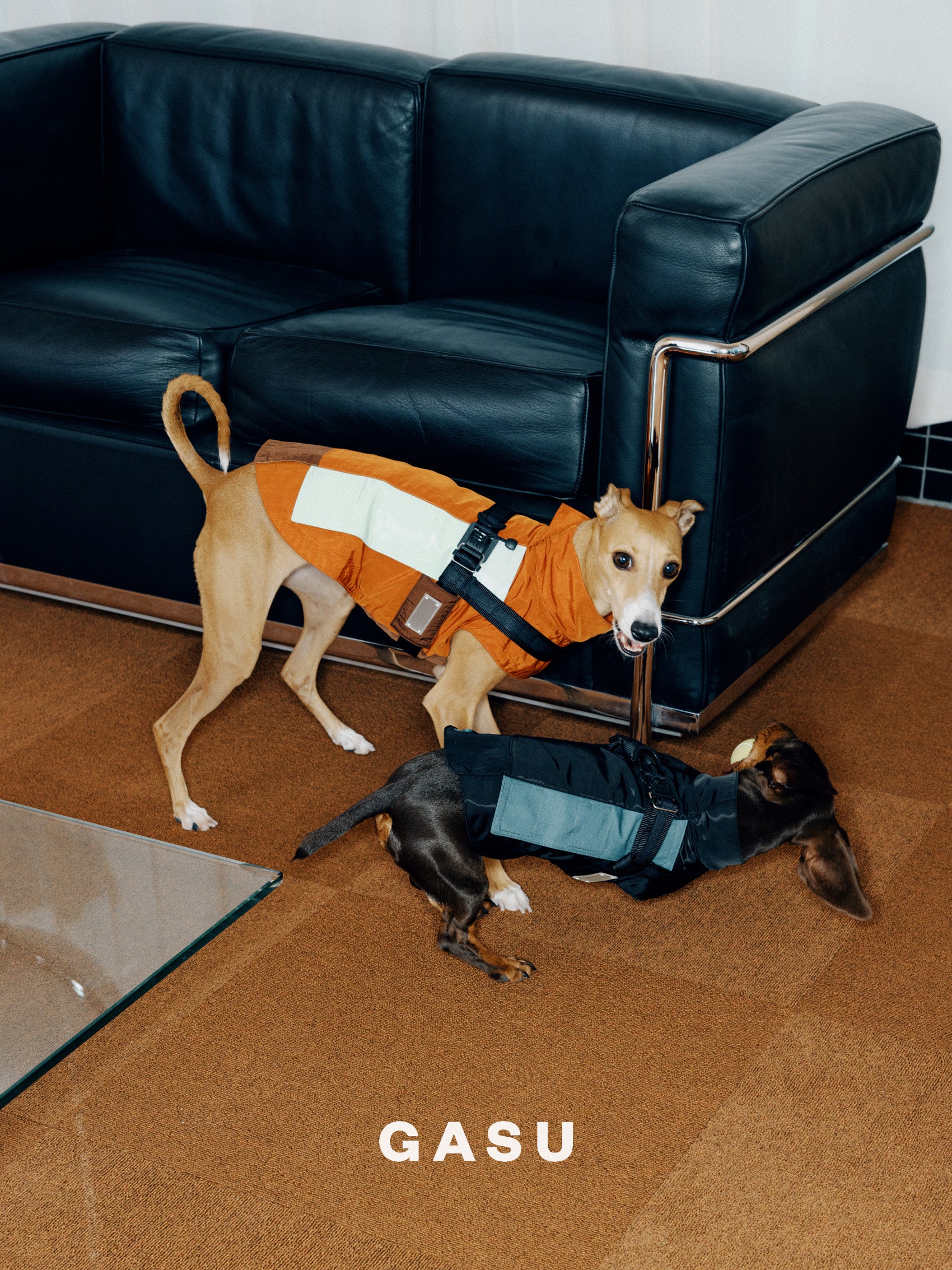 GASU Variété / [3 Colors] Sporty Vest (Compatible With Harness)