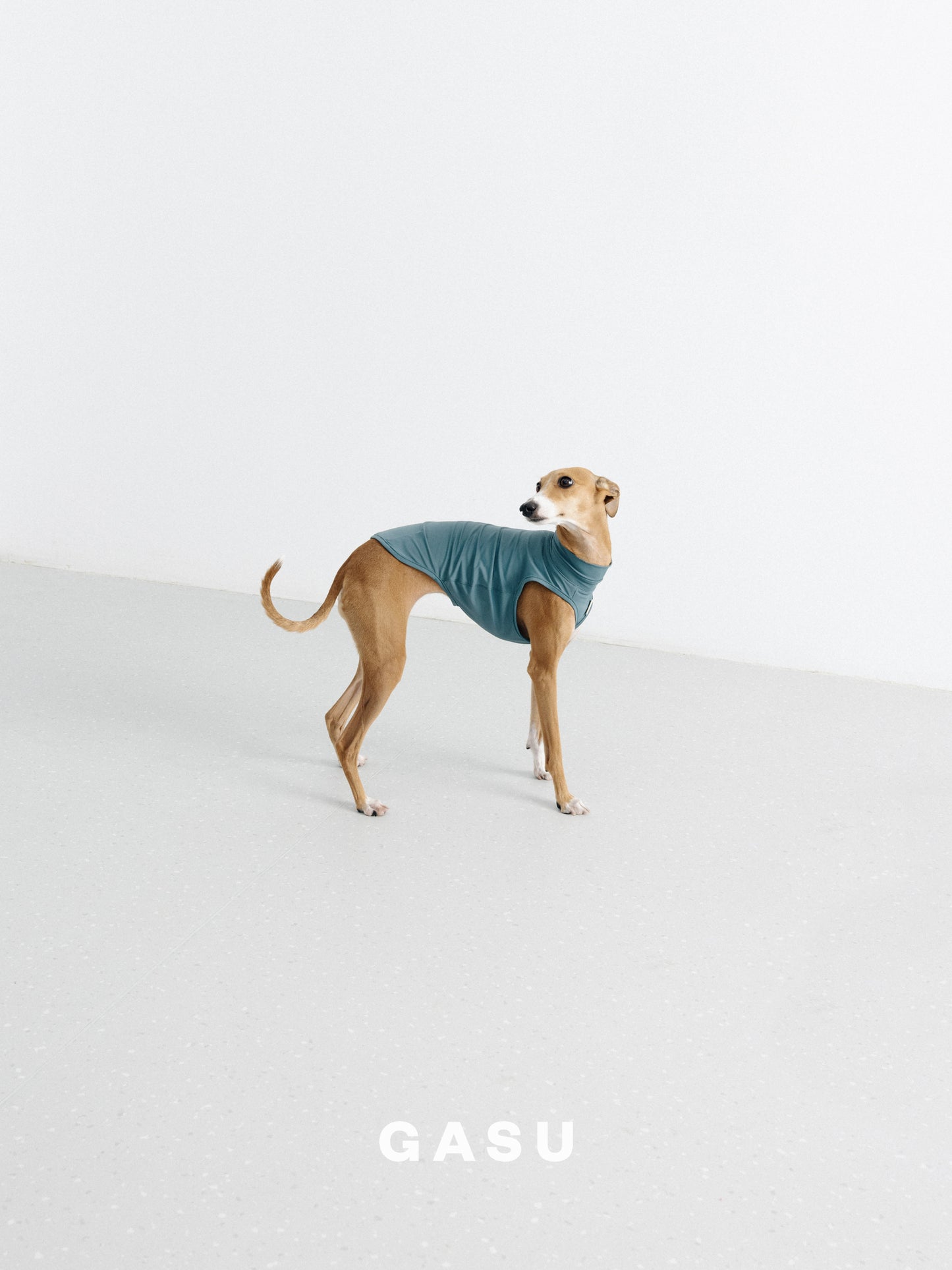 GASU Flâner / [6 Colors] Nude UPF1000+ Cooling Vest