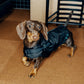 GASU Variété / [3 Colors] Sporty Vest (Compatible With Harness)
